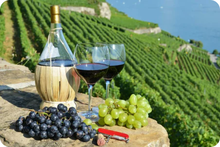 Unraveling the Most Varied Grape Profiles