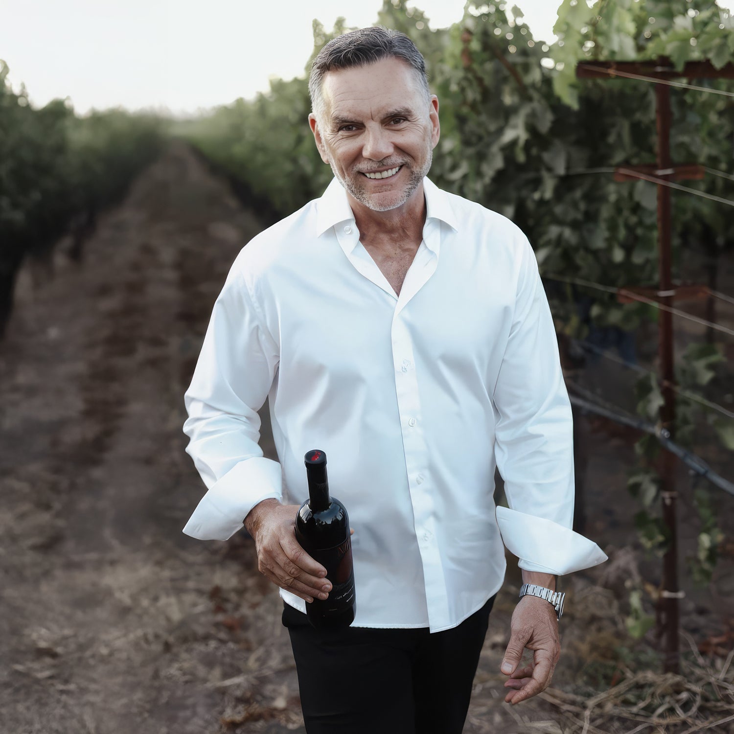 Franzese Wine