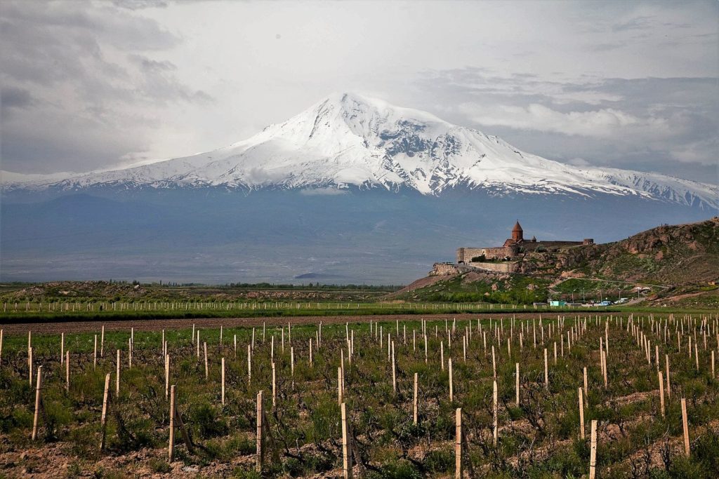 Armenian Wine: A Must-Try for Any Wine Lover