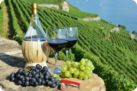Armenian Wine Roots: Unveiling the Oldest Known Wine-Making Facility