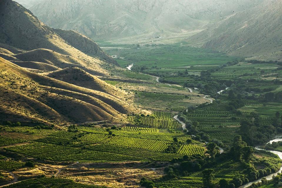 Armenian Wines Are Kicking With Quality
