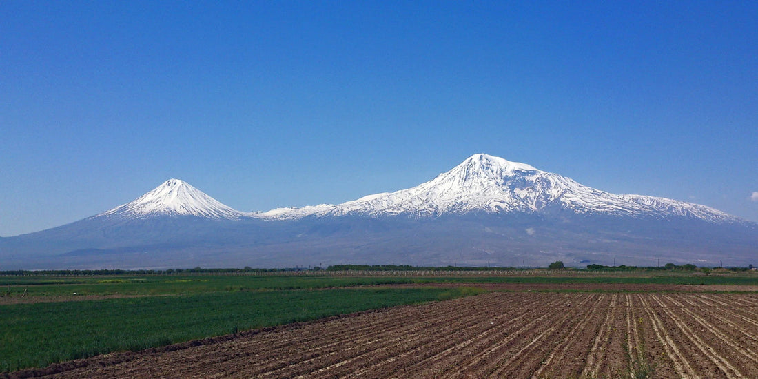 Armenian Wine Legacy: Former Mafia Boss Michael Franzese Continues to Expand his Wine Brand