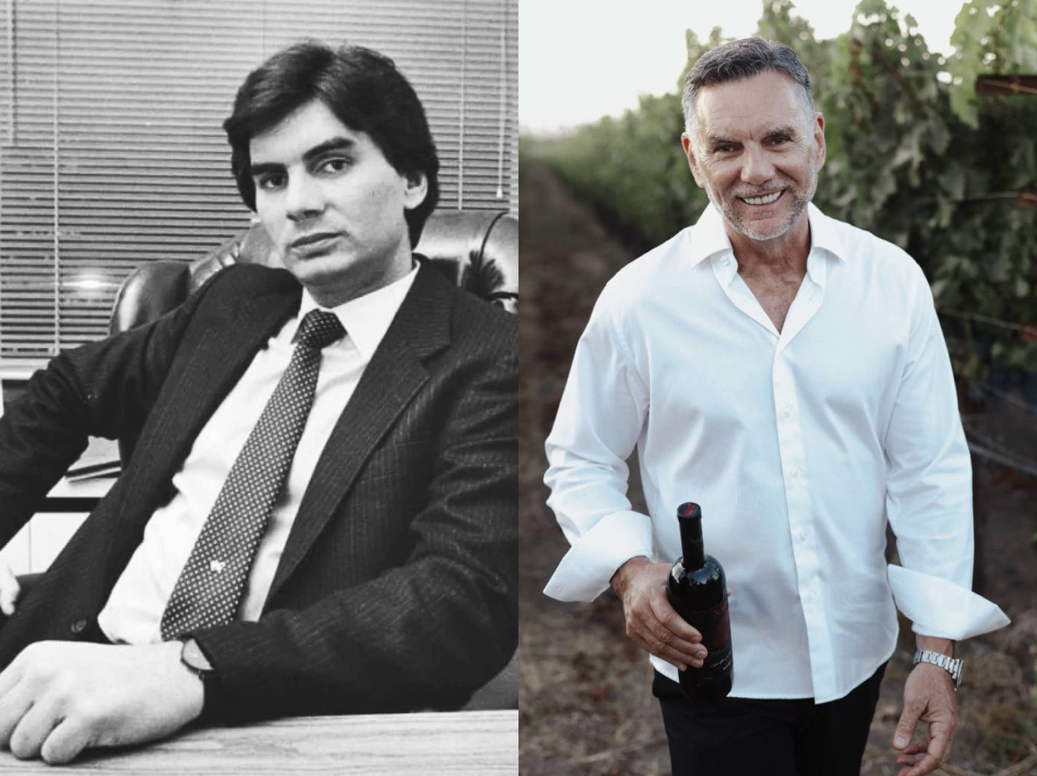 Franzese Wine
