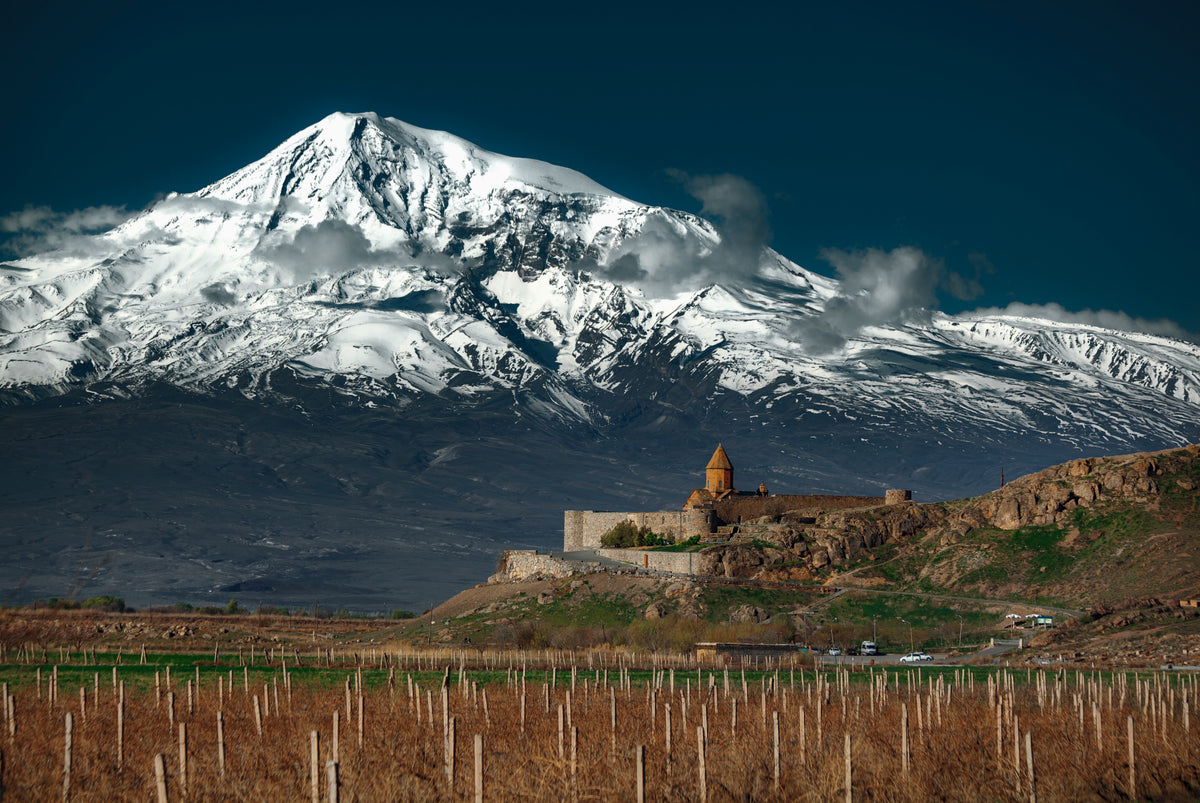 Vineyard with Mount Ararat of Armenia in the background